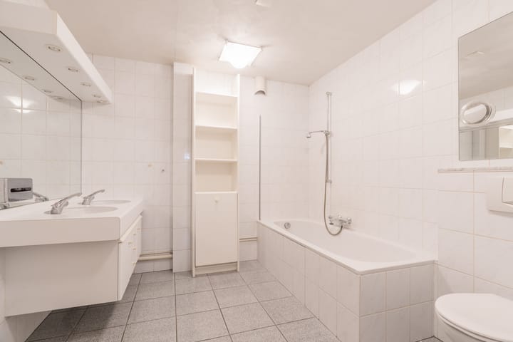 Foto 3 van Gouden Leeuw 818