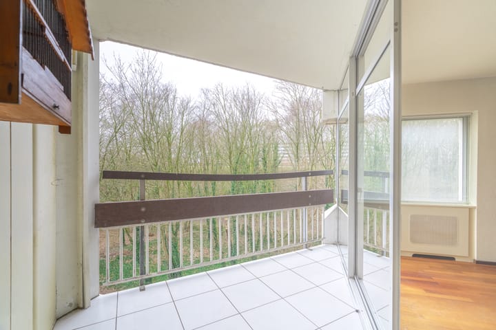 Foto 4 van Gouden Leeuw 818