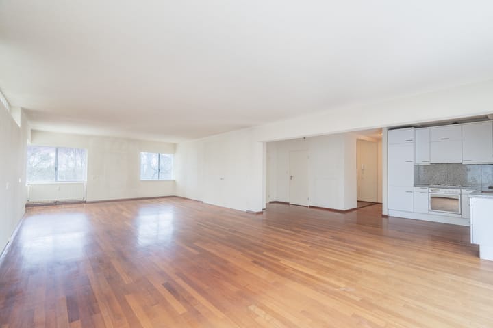 Foto 5 van Gouden Leeuw 818