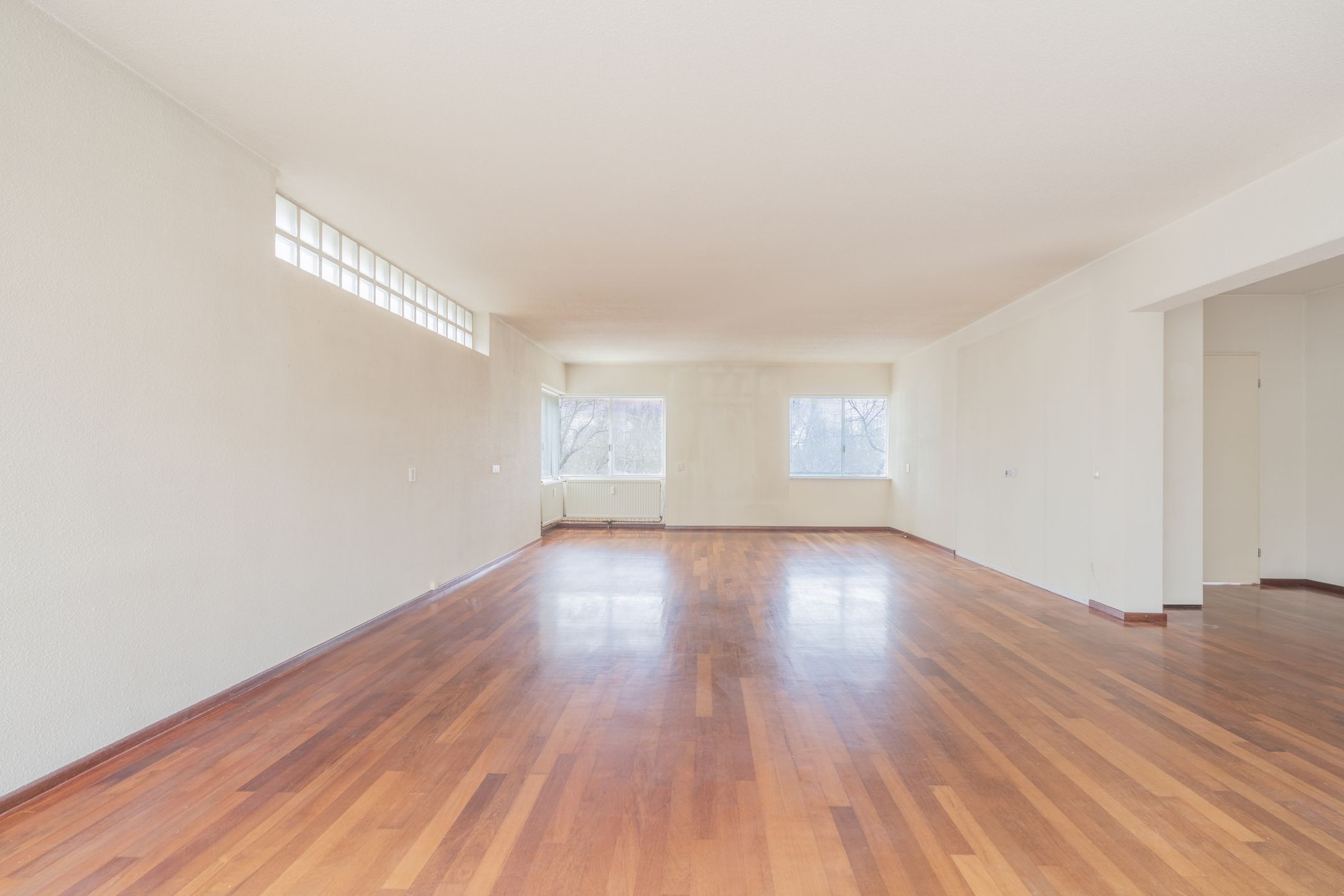 Foto 9 van Gouden Leeuw 818