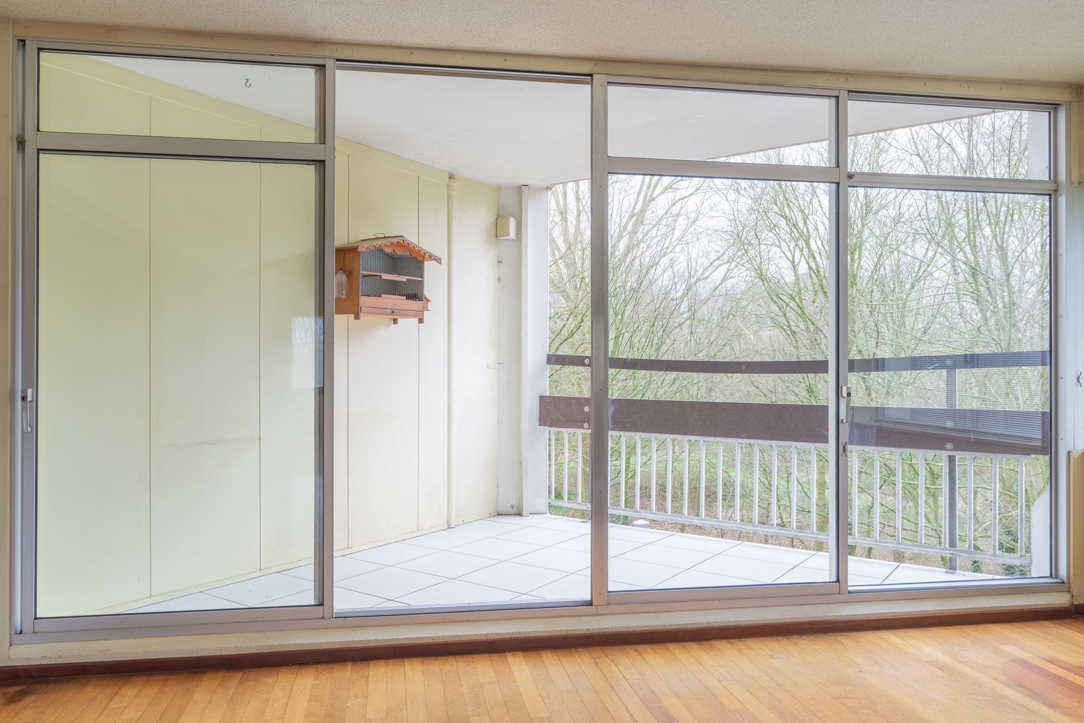 Foto 12 van Gouden Leeuw 818