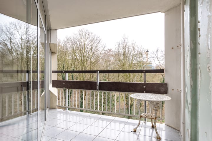 Photo 16 of Gouden Leeuw 818