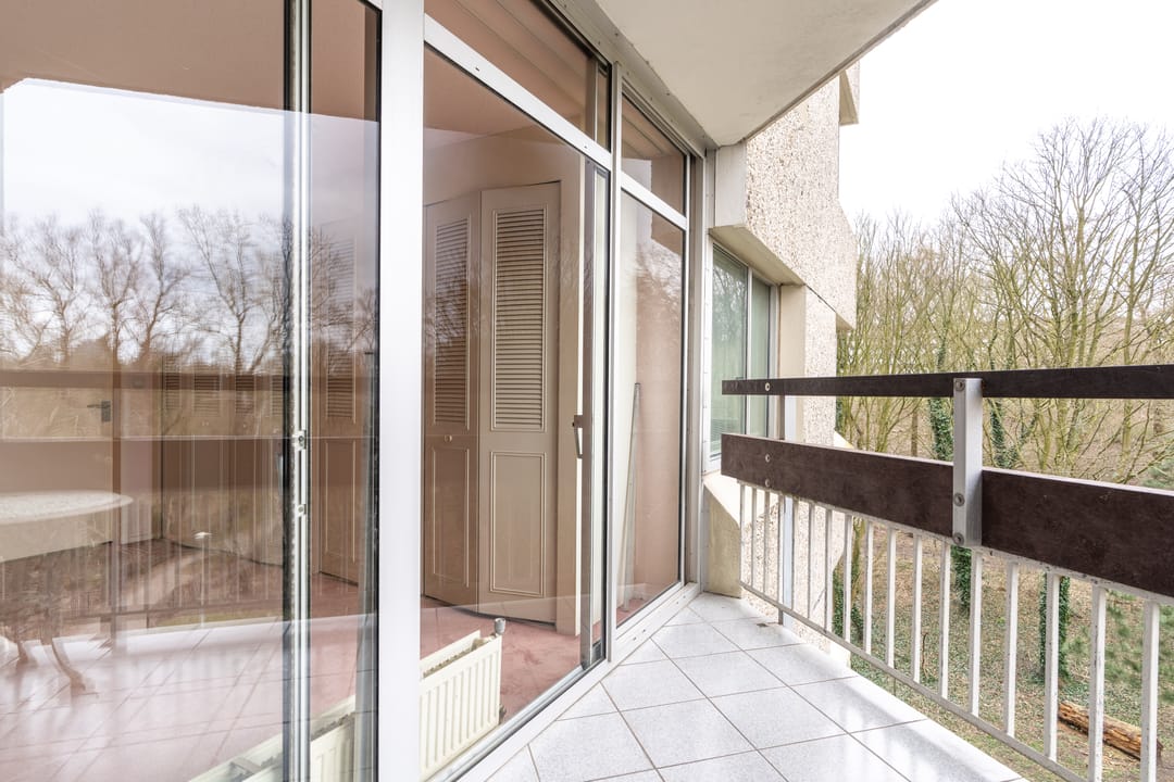 Foto 17 van Gouden Leeuw 818