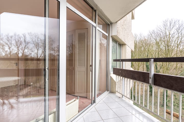 Photo 17 of Gouden Leeuw 818