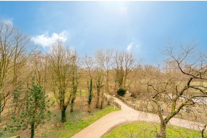 Photo 19 of Gouden Leeuw 818