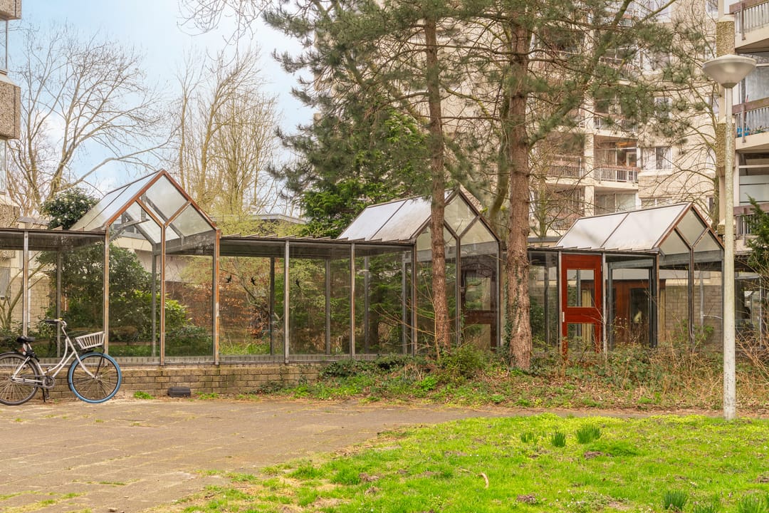 Foto 23 van Gouden Leeuw 818