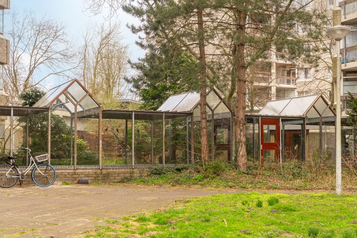 Photo 23 of Gouden Leeuw 818