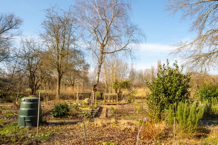 Photo 25 of Gouden Leeuw 818