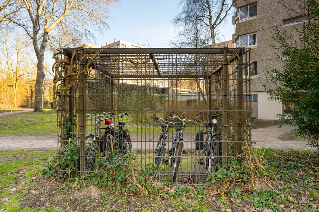 Foto 26 van Gouden Leeuw 818