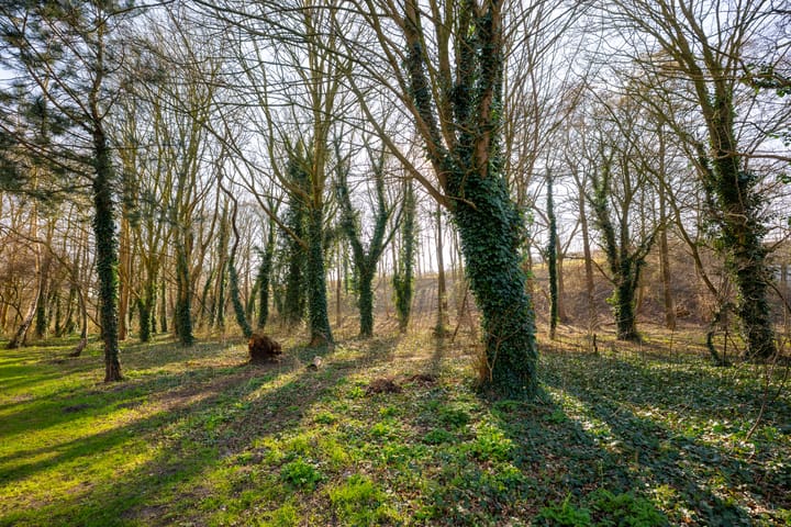 Photo 27 of Gouden Leeuw 818