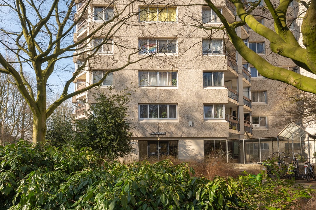 Foto 28 van Gouden Leeuw 818