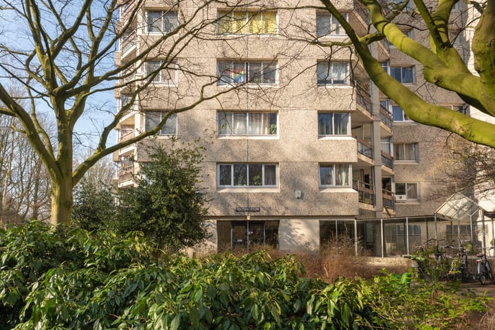 Photo 28 of Gouden Leeuw 818