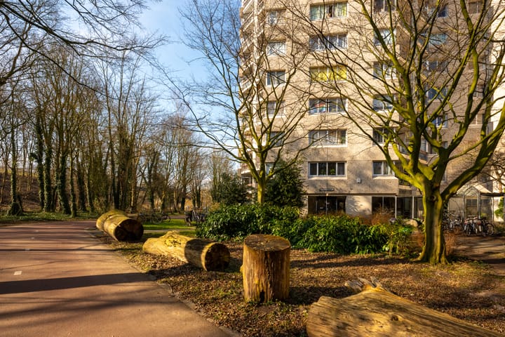 Photo 29 of Gouden Leeuw 818