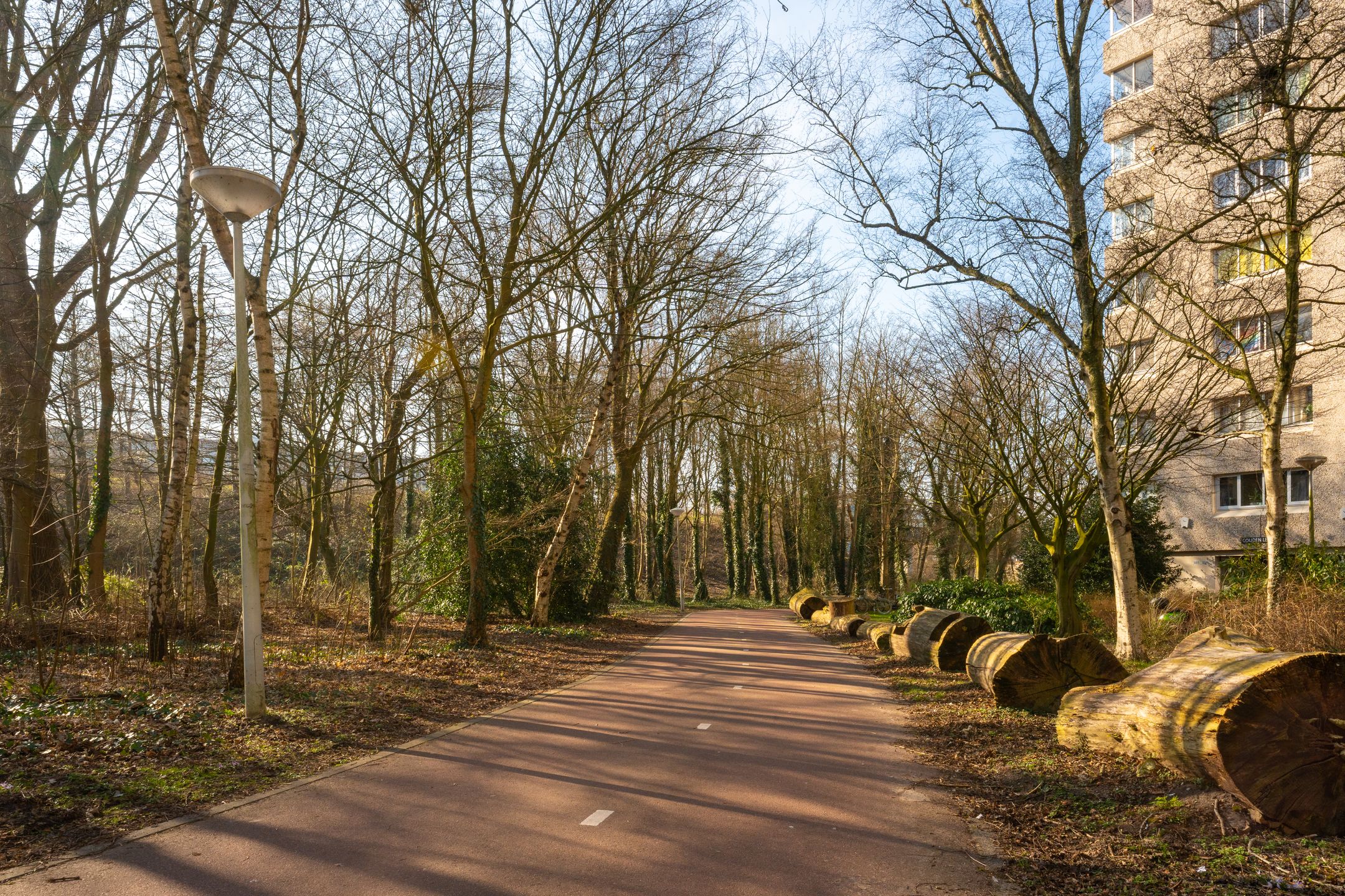 Foto 30 van Gouden Leeuw 818