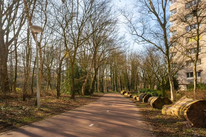 Photo 30 of Gouden Leeuw 818