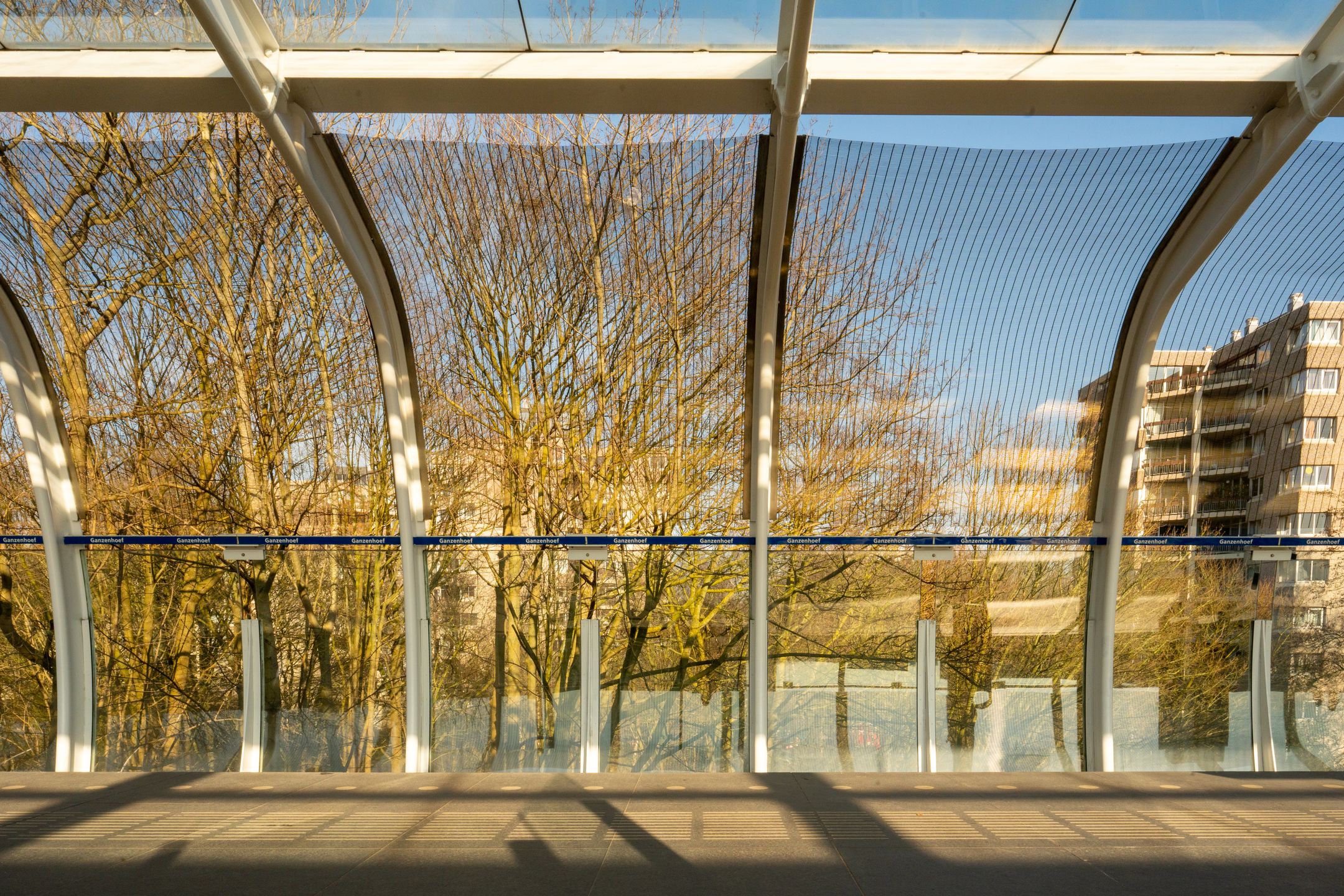 Foto 33 van Gouden Leeuw 818