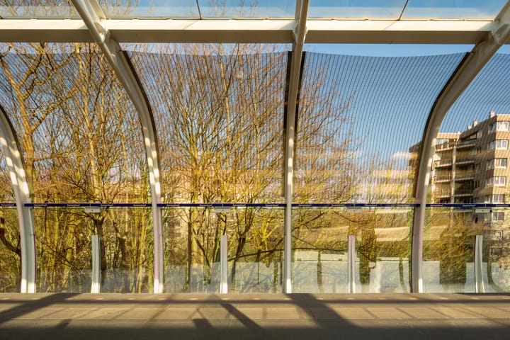 Photo 33 of Gouden Leeuw 818