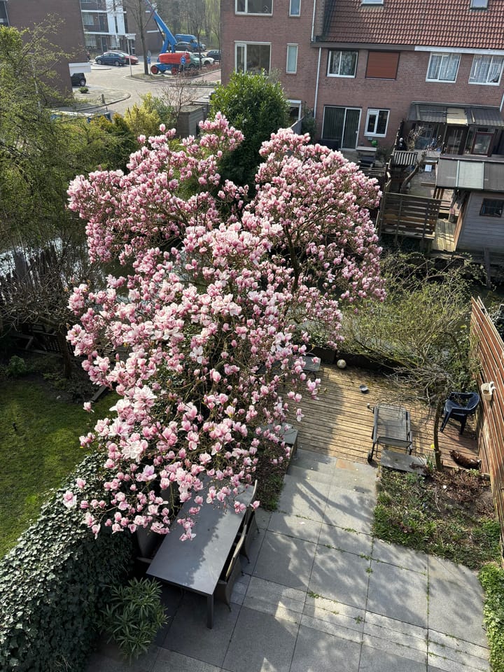 Photo 40 of Nabucco 7