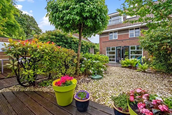 Foto 35 van Boswinde 151