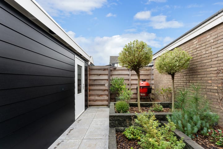 Photo 29 of Jan Luijkenhof 22