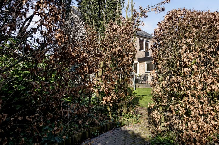 Foto 64 van De Meridiaan 11