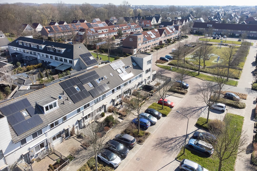 Foto 2 van Gele Varaan 14