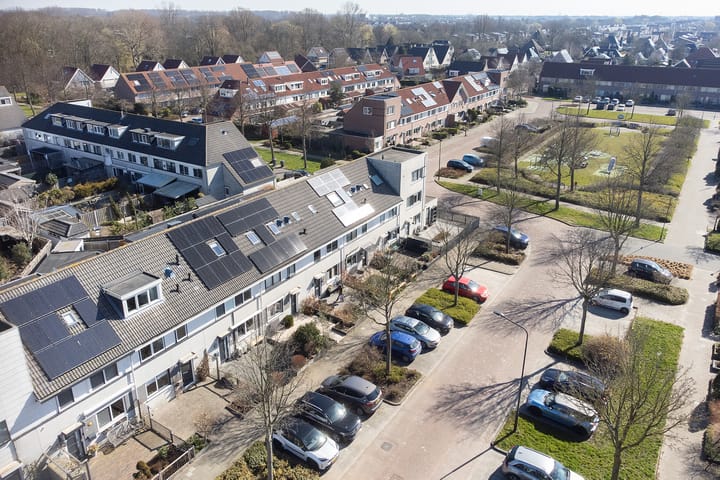 Foto 2 van Gele Varaan 14