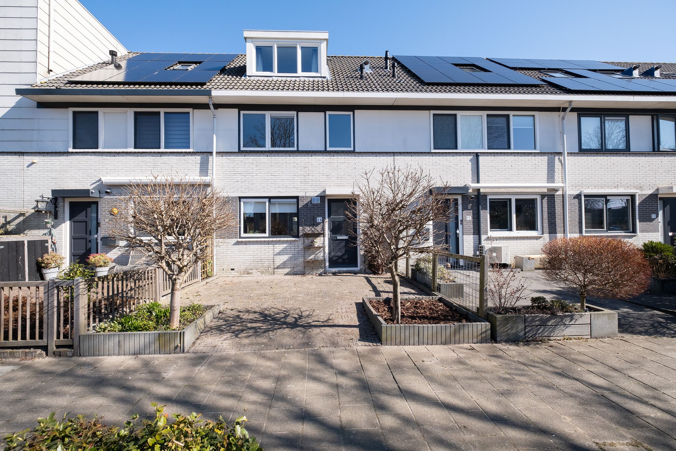 Foto 3 van Gele Varaan 14