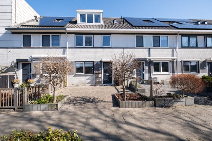 Foto 3 van Gele Varaan 14