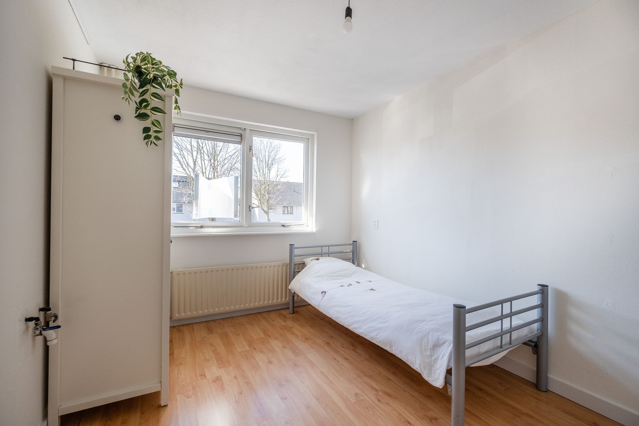 Foto 18 van Gele Varaan 14