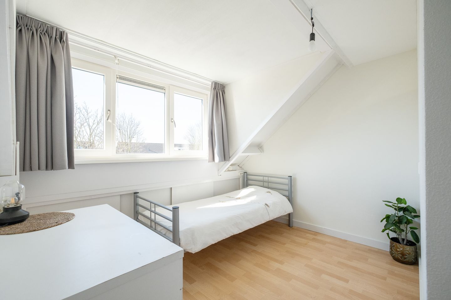 Foto 25 van Gele Varaan 14