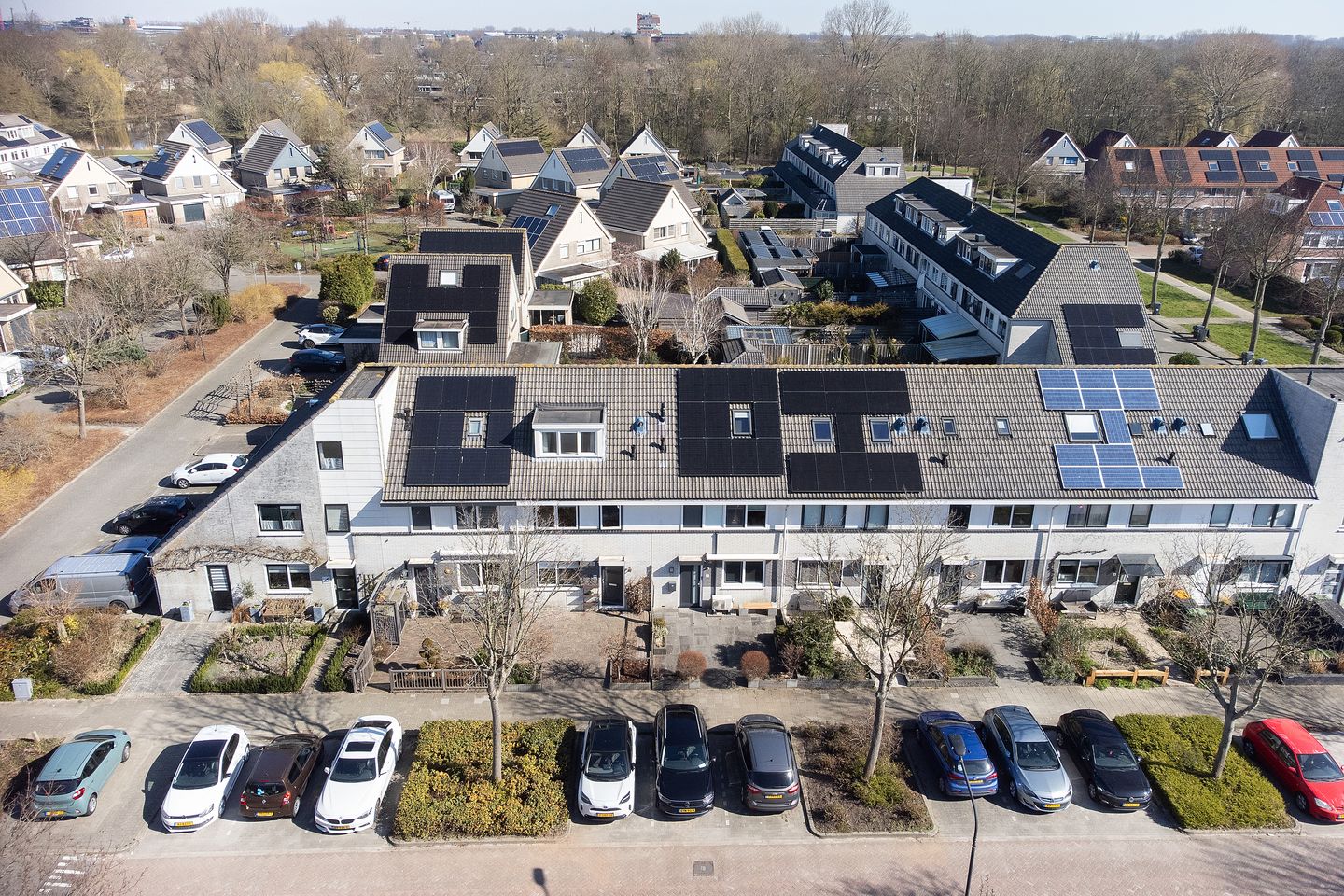 Foto 35 van Gele Varaan 14