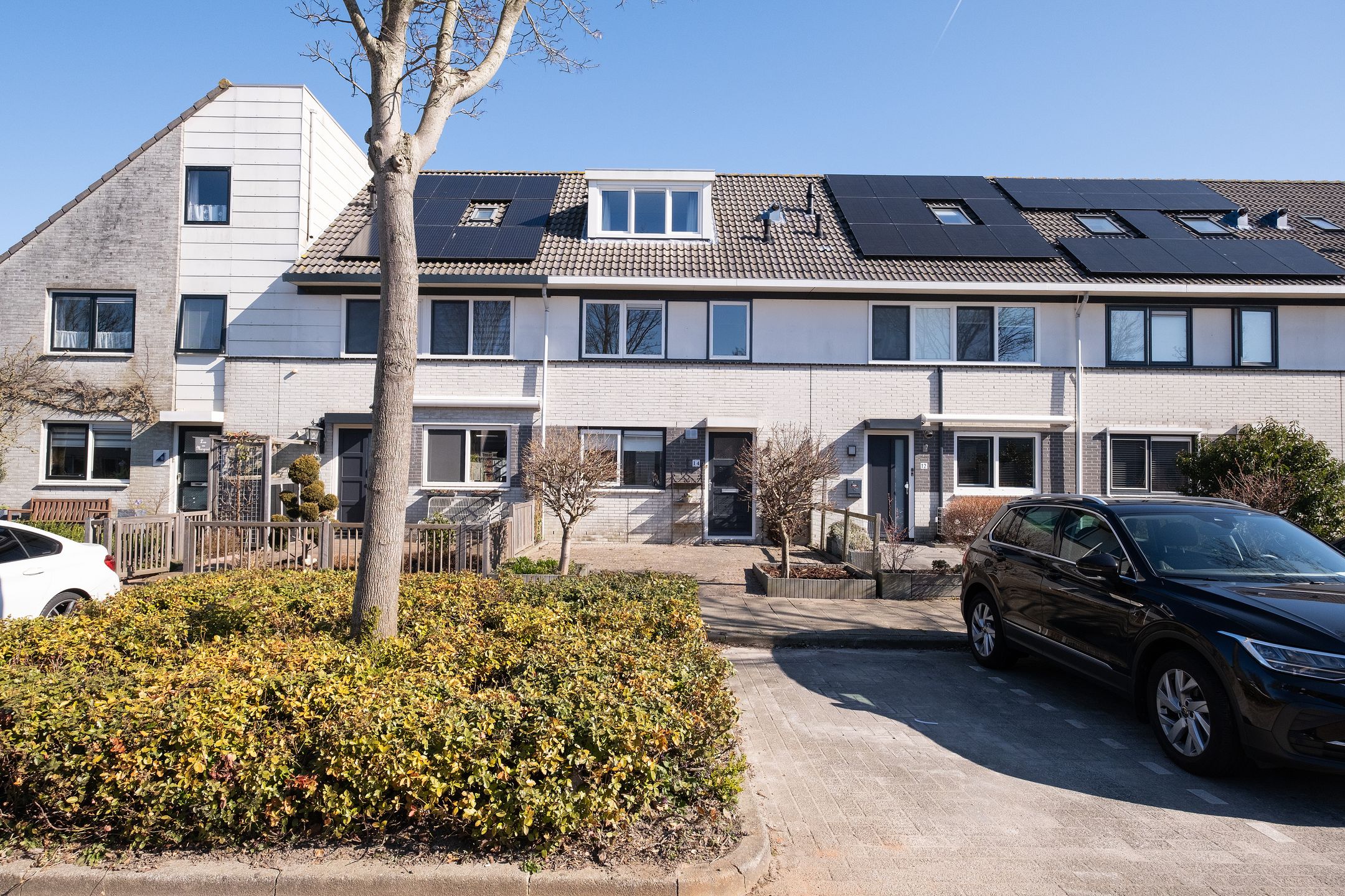 Foto 36 van Gele Varaan 14