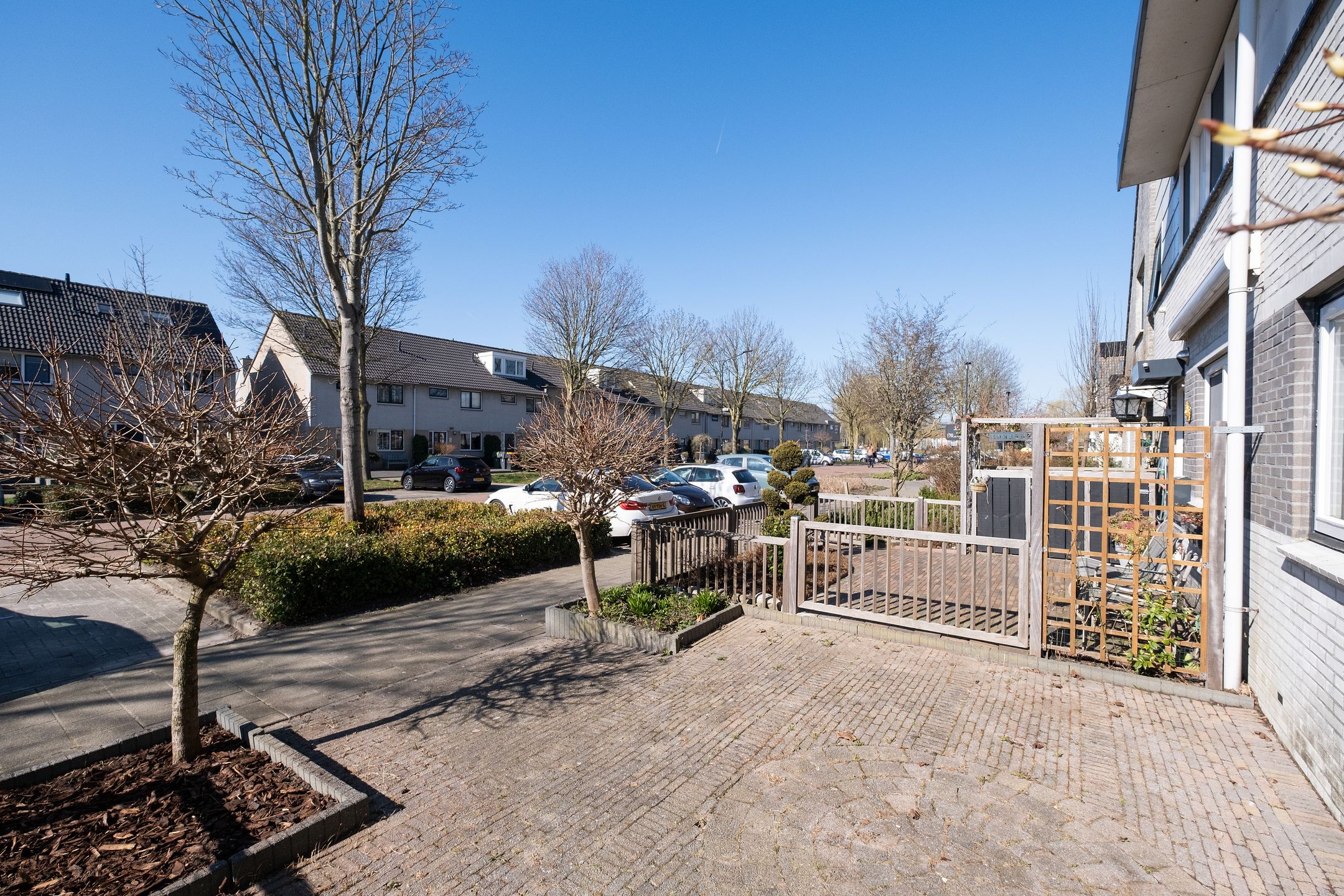 Foto 39 van Gele Varaan 14