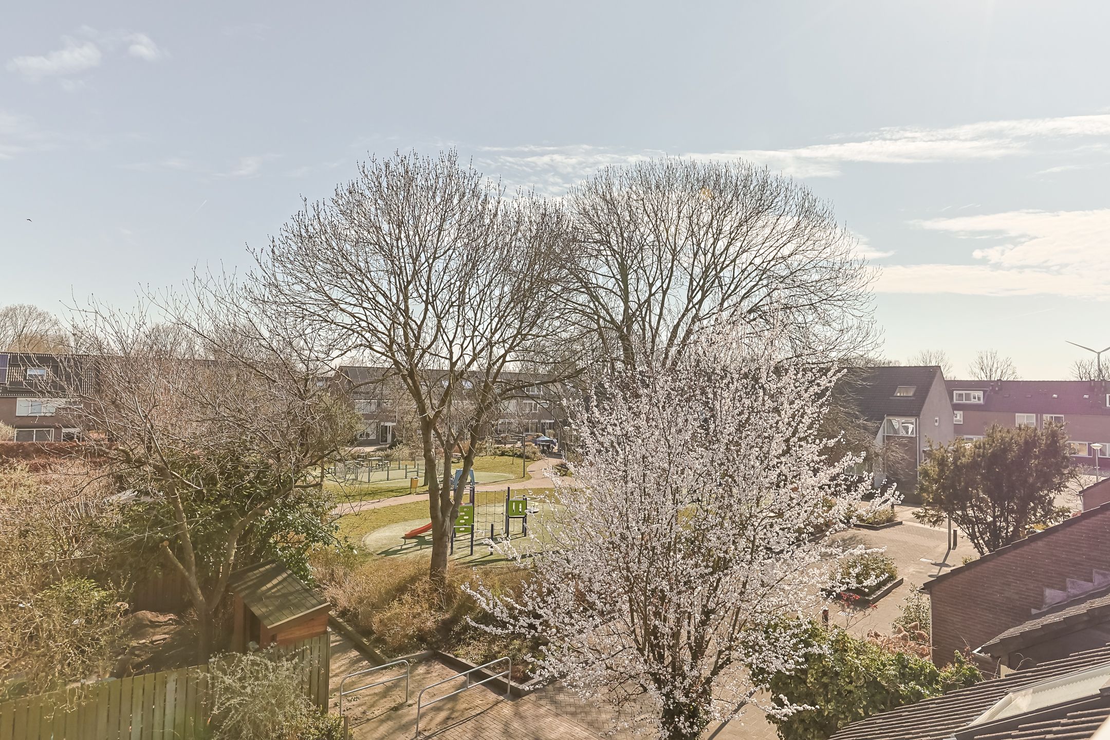 Photo 66 of De Tas 33