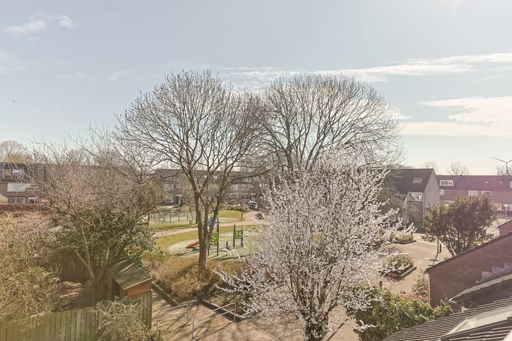 Foto 66 van De Tas 33