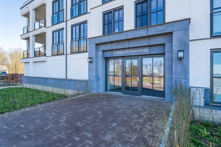 Foto 4 van Plataanpad 54