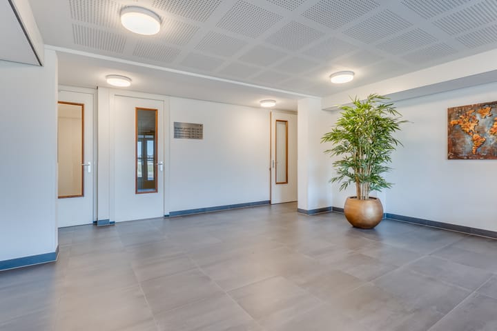 Foto 5 van Plataanpad 54