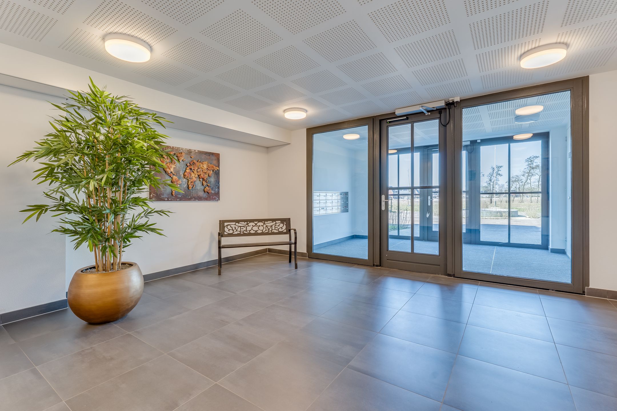 Foto 6 van Plataanpad 54