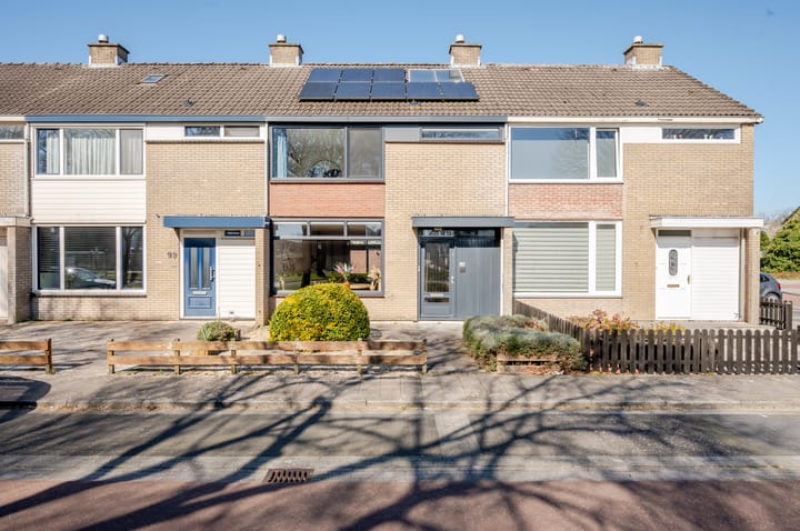 Foto 1 van Bongerd 98