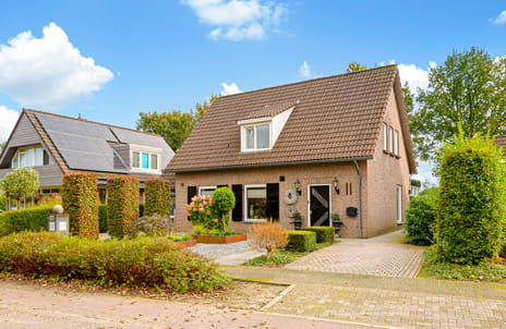 undefined main image