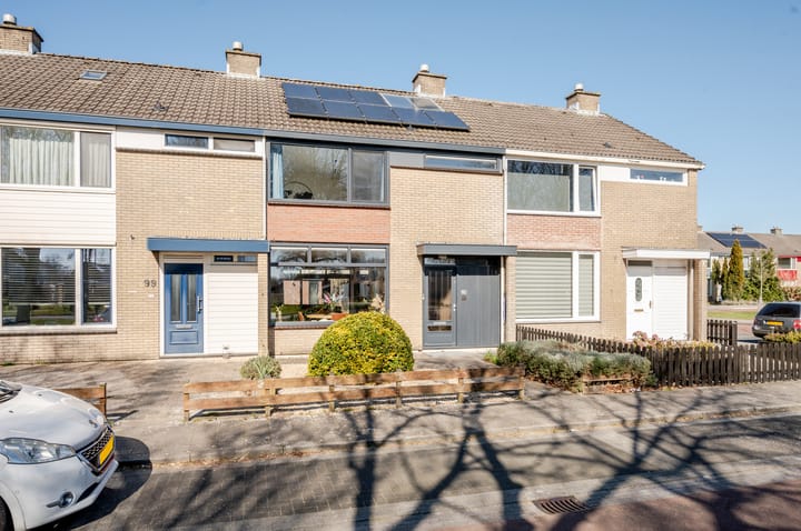 Foto 43 van Bongerd 98