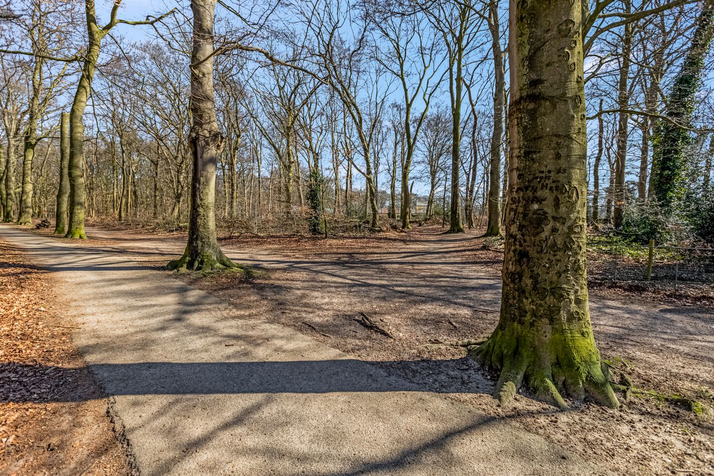 Foto 4 van Van Abcoudehof 29