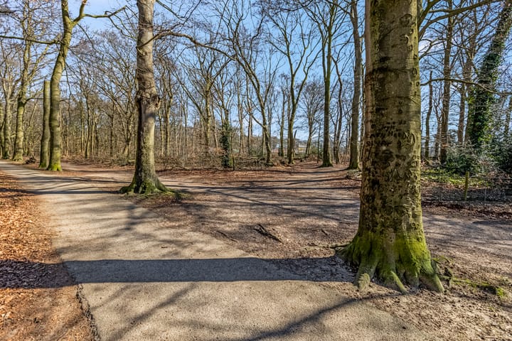 Foto 4 van Van Abcoudehof 29