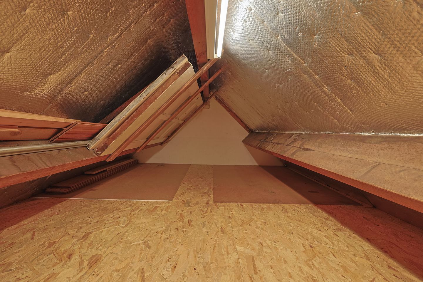 Foto 19 van Ehrlichstraat 10