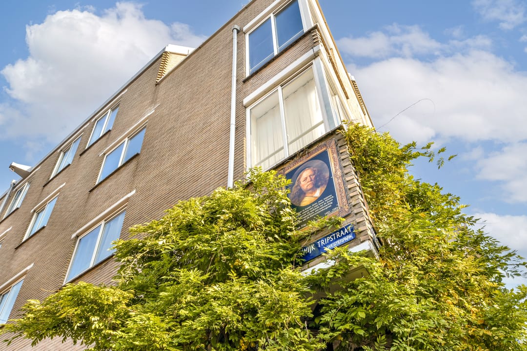 Foto 26 van Lodewijk Tripstraat 22-2