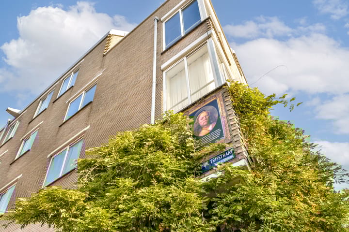 Foto 26 van Lodewijk Tripstraat 22-2