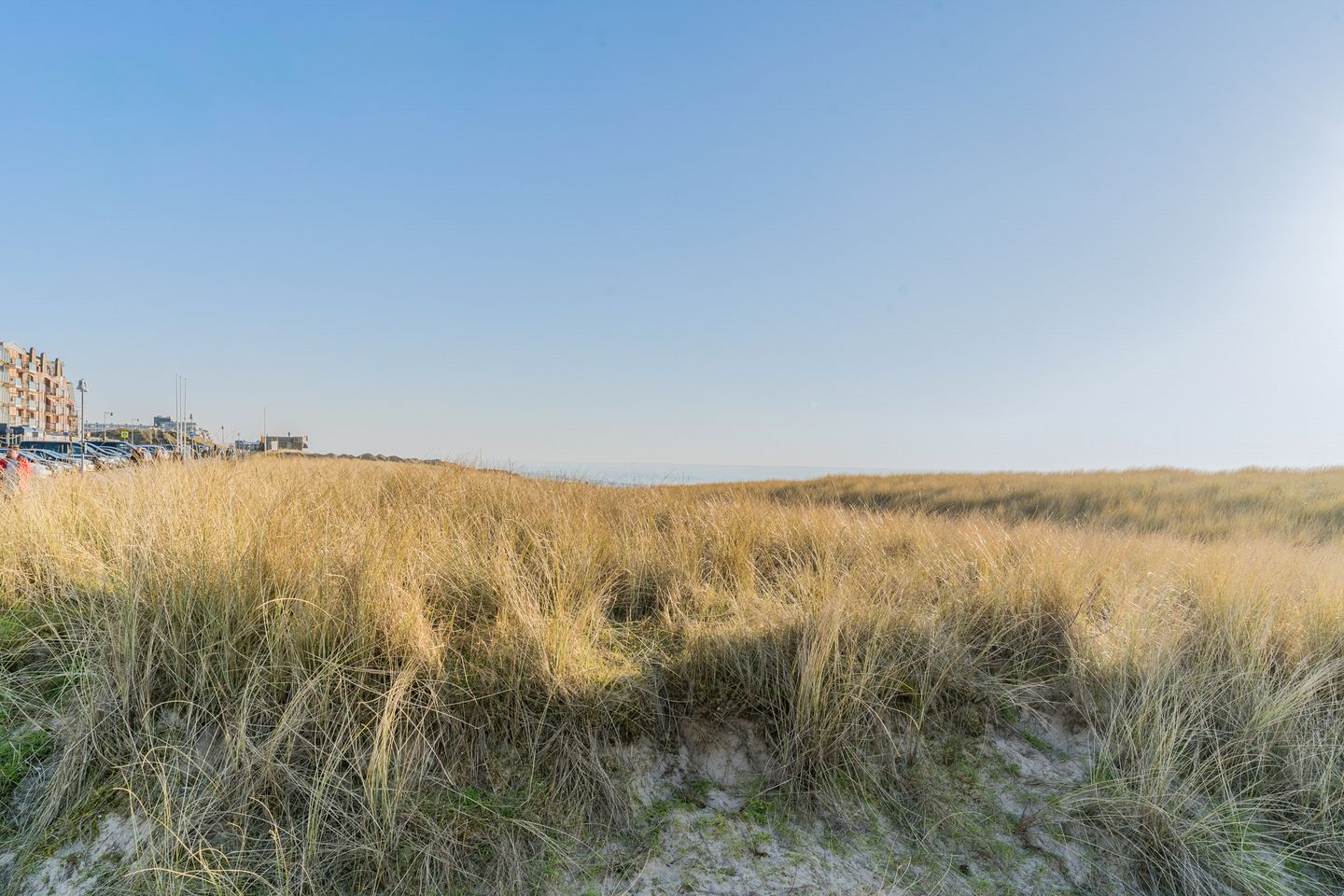 Foto 59 van Wilhelminastraat 112