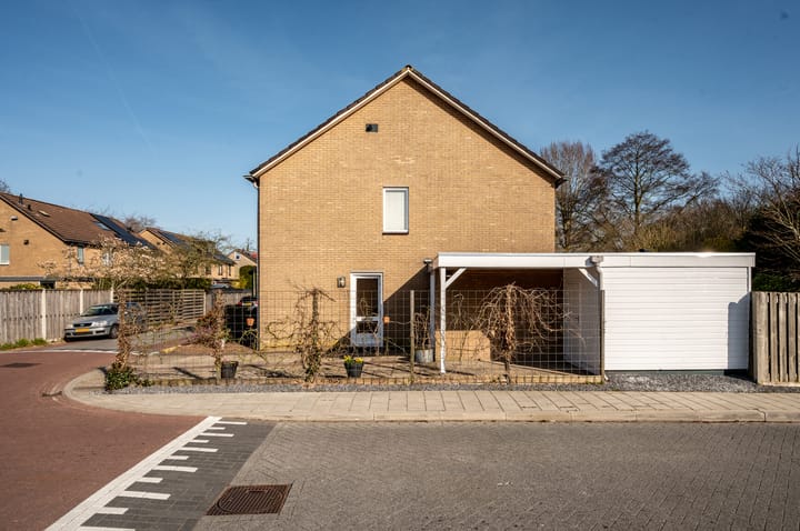 Foto 43 van Griend 12 2