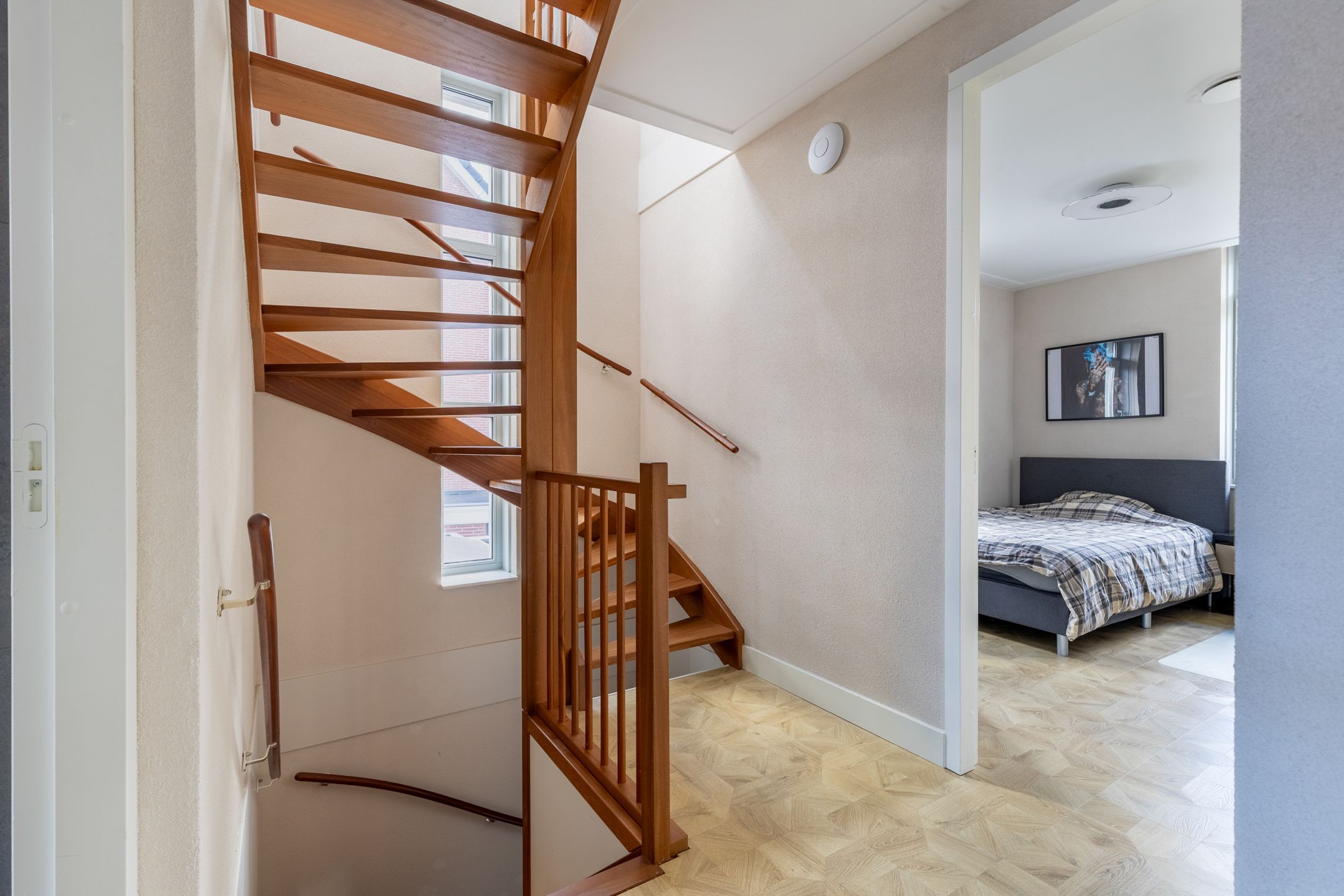 Photo 30 of François Brandthof 8